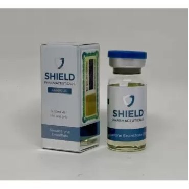 TESTOSTERONE ENANTHATE SHIELD PHARMA